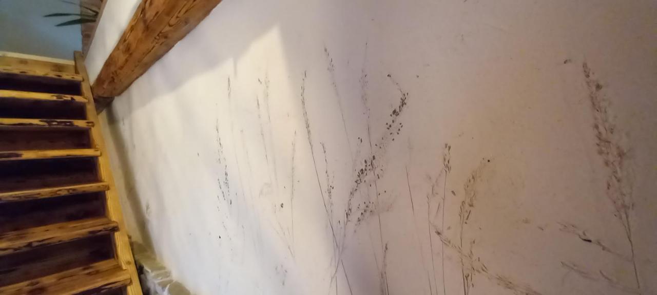 Apartmany Terra Stará Lesná Dış mekan fotoğraf